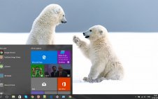 Snow and Animals win10 theme