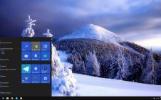 Winter Forest win10 theme