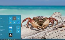 Crab win10 theme