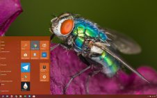 Fly win10 theme