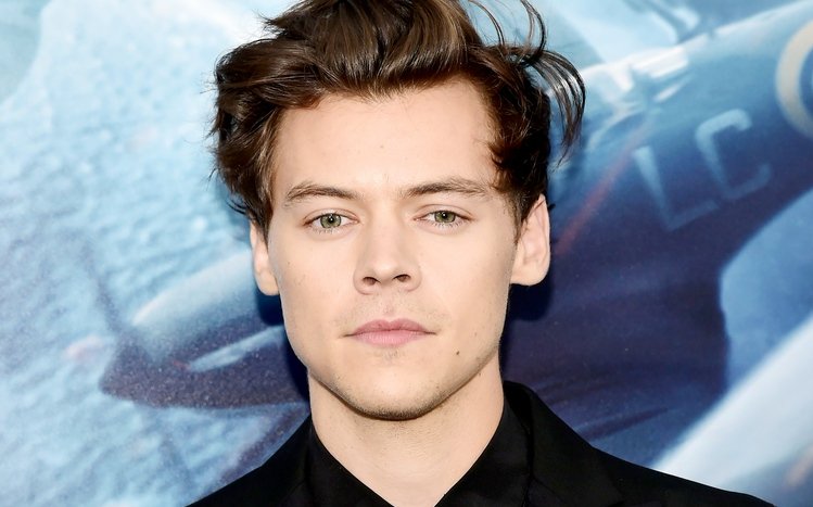 Harry Styles Windows Theme Themepack Me 16770 Hot Sex Picture