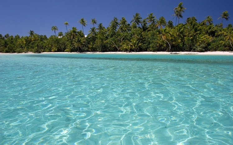 Beach Theme screenshot #6