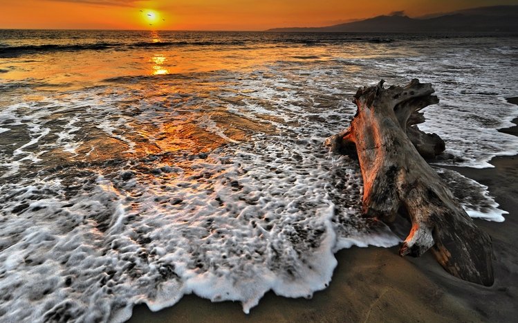 Beach Theme screenshot #8