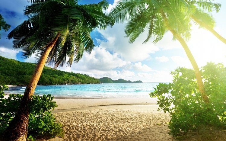 10 Tropical Beach Windows Theme