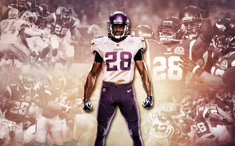Minnesota Vikings Windows 10 Theme themepack.me