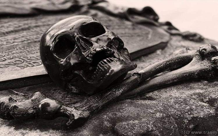 Skull Windows 10 Theme themepack.me