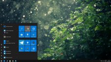 Rain in Forest windows theme