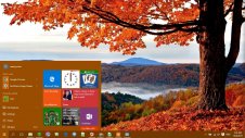 Windows 11/10 Themes