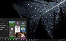 Feather win10 theme