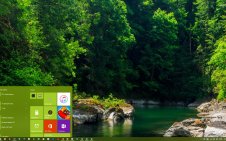Forests (Dual Monitor) win10 theme