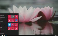 Water Lily win10 theme