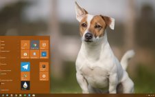 Jack Russell Terrier win10 theme