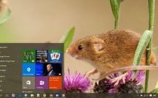 Mouse win10 theme