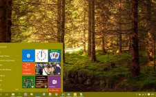 Forest win10 theme