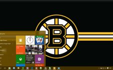 Boston Bruins win10 theme
