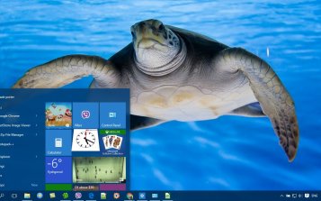 Turtle Theme Desktop