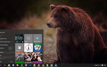 Bear Theme Desktop