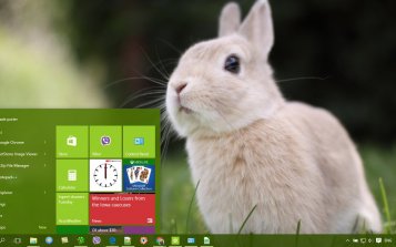 Bunny Theme Desktop