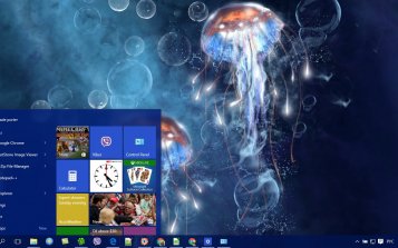 Jellyfish Theme Desktop