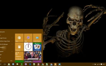 Skeleton Theme Desktop