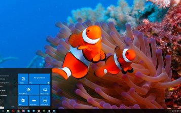 Nature Windows 10 Themes - Page 2 - themepack.me