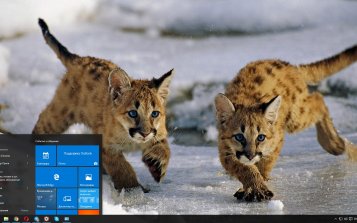 Baby animals Theme Desktop