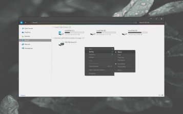 Fusion Theme Desktop