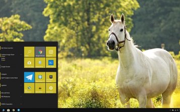 Horses Theme Desktop