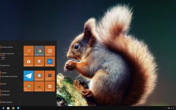 Squirrel Theme Desktop