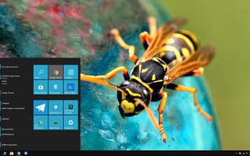 Wasp Theme Desktop