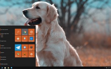 Golden Retriever Theme Desktop