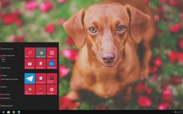 Dachshund Theme Desktop