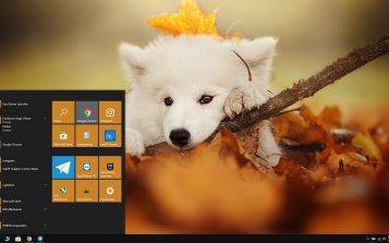 Samoyed Theme Desktop