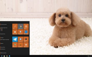 Poodle Theme Desktop