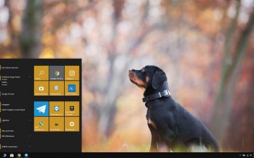Rottweiler Theme Desktop