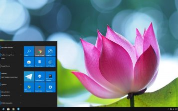 Pink Flowers Theme Desktop