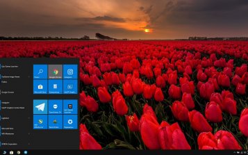 Summer Flowers Theme Desktop