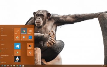 Chimpanzee Theme Desktop