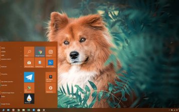 Eurasier Theme Desktop