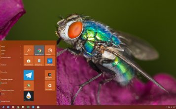 Fly Theme Desktop