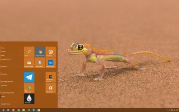 Gecko Theme Desktop