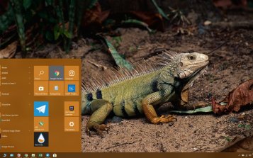  Iguana Theme Desktop