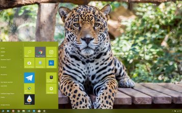 Jaguar Theme Desktop