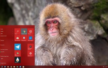 Japanese Macaque Theme Desktop