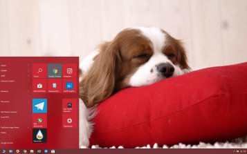 King Charles Spaniel Theme Desktop