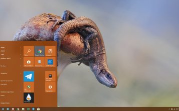 Lizard Theme Desktop