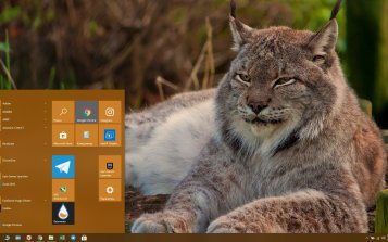 Lynx Theme Desktop