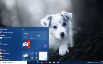 Australian Shepherd Theme Desktop