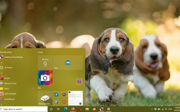 Basset Hound Theme Desktop