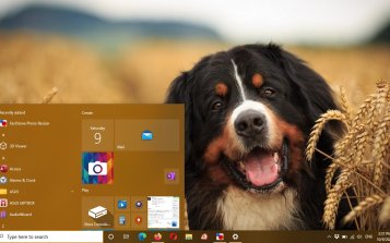 Bernese Mountain Theme Desktop